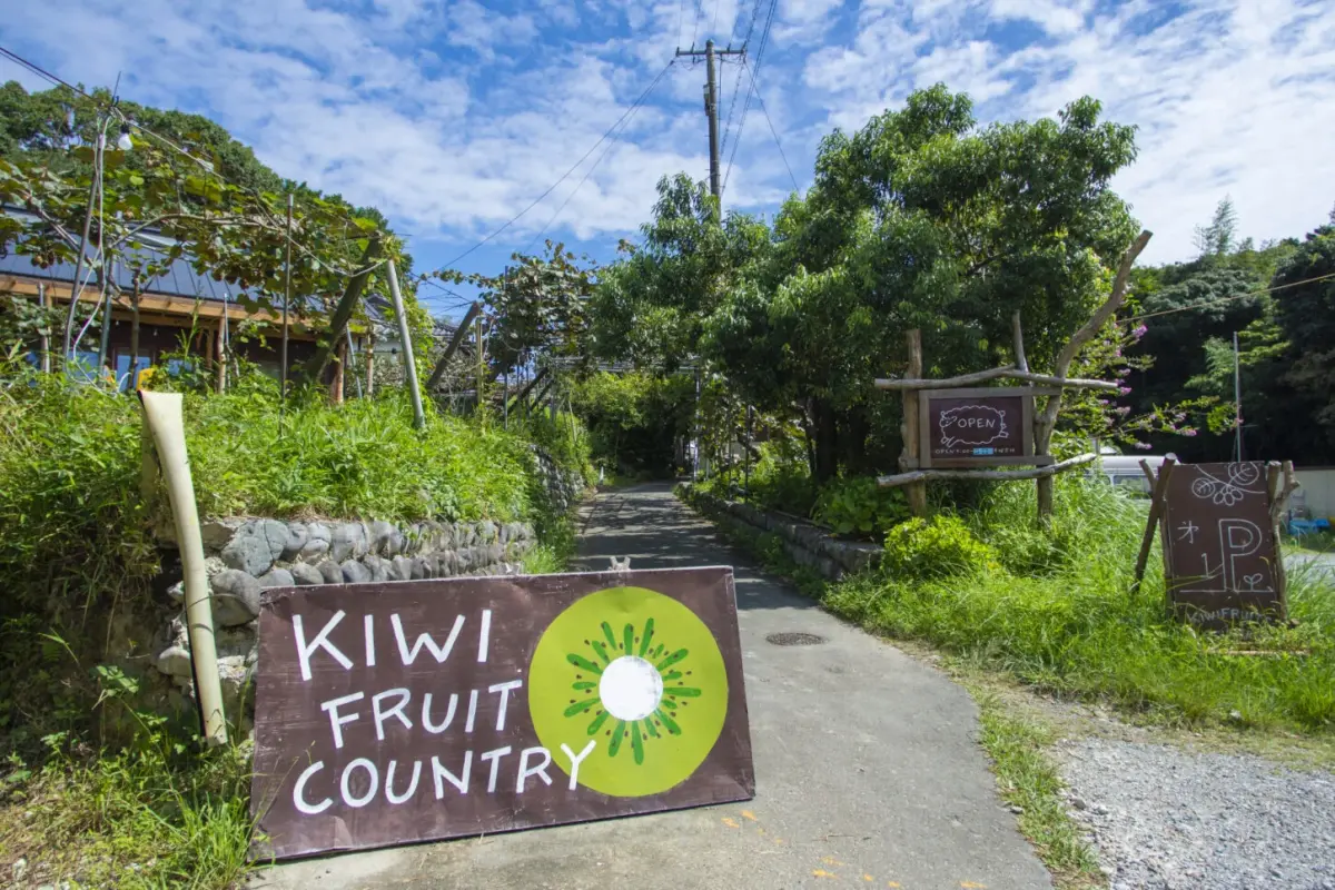 Kiwi Fruits Country