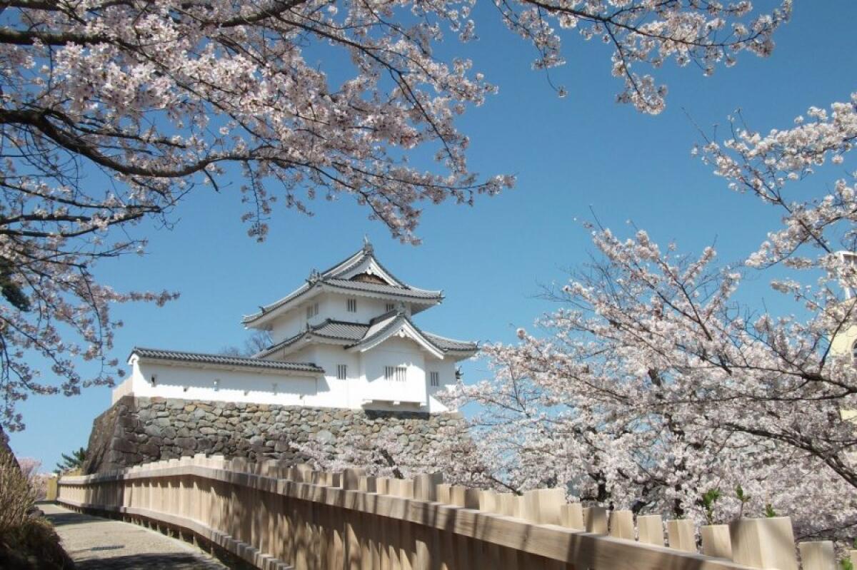 Kofu Castle