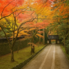 Kojakuji Temple