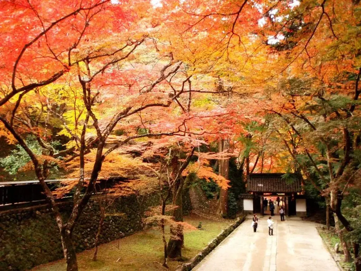 Kojakuji Temple