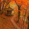 Kojakuji Temple