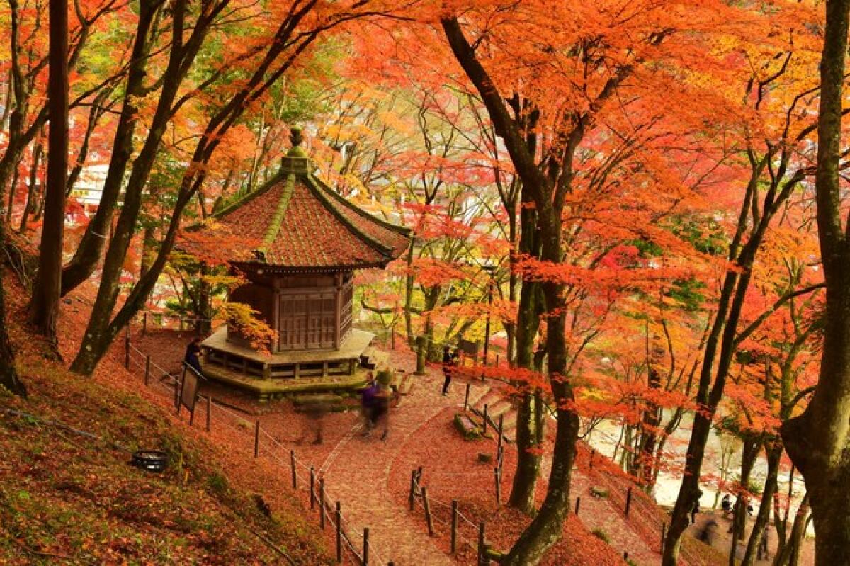 Kojakuji Temple
