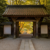 Kojakuji Temple
