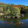 Kokoen Garden