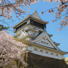 15. Kokura Castle