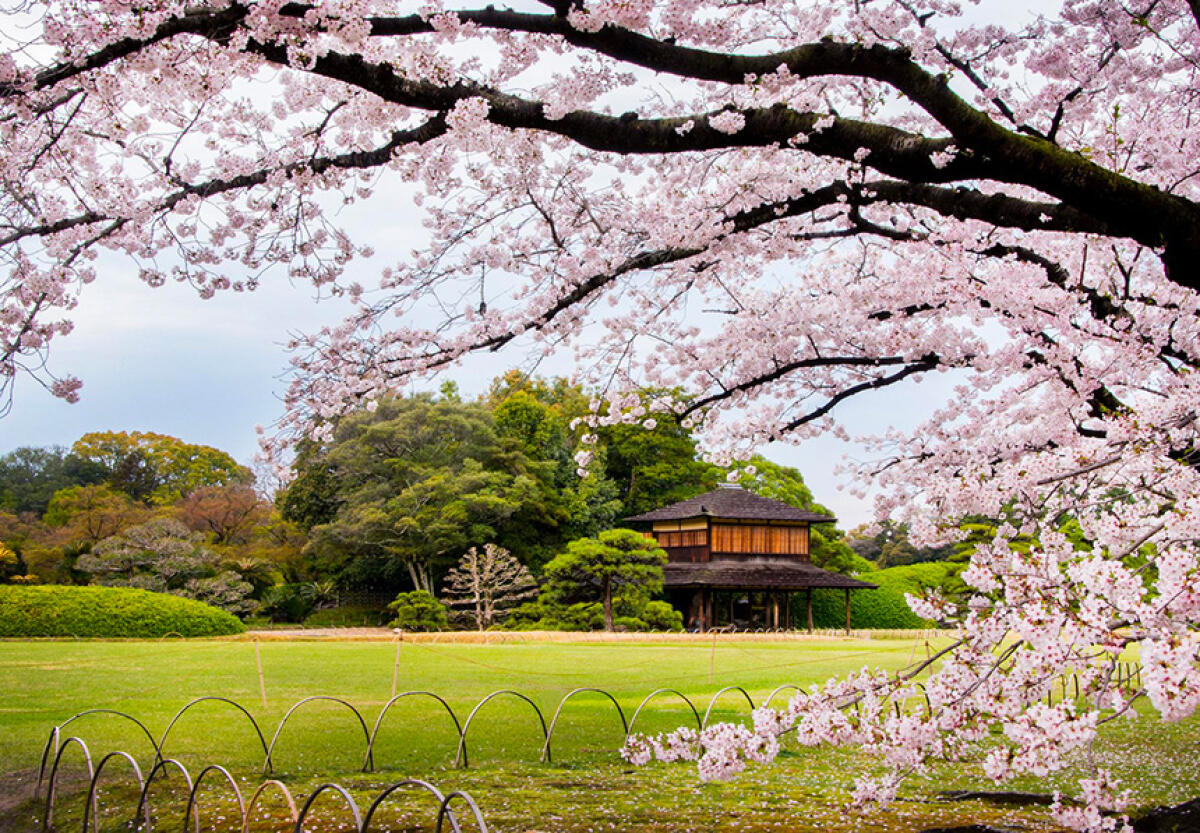 Korakuen Garden