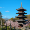 Koshoji Temple