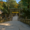 Kotohiragu