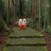 Koyasan Pilgrimage Trails