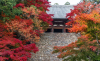 Kozanji Temple