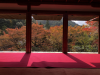 Kozanji Temple