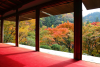Kozanji Temple