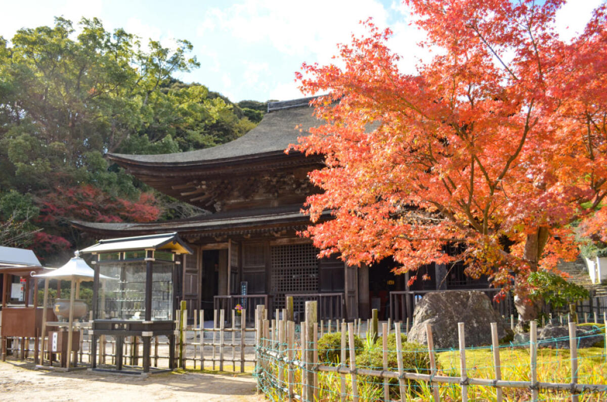 Kozanji Temple
