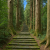 Kumano