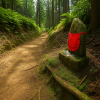 Kumano Kodo Pilgrimage Trails