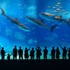 Kyoto Aquarium