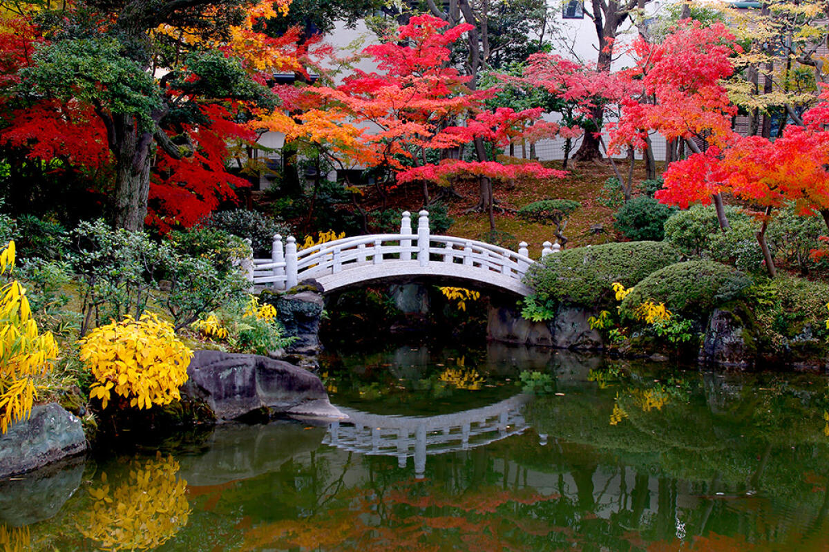 Kyu-Yasuda Garden