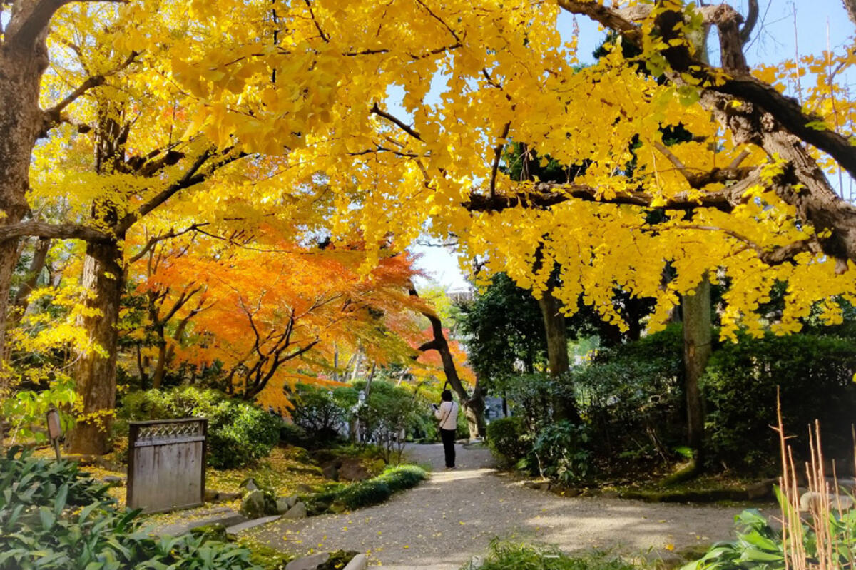 Kyu-Yasuda Garden