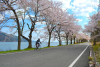 Lake Biwa Cycling