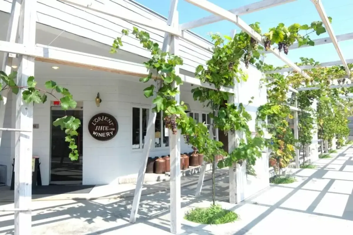 L'Orient Winery