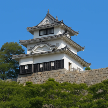 11. Marugame Castle