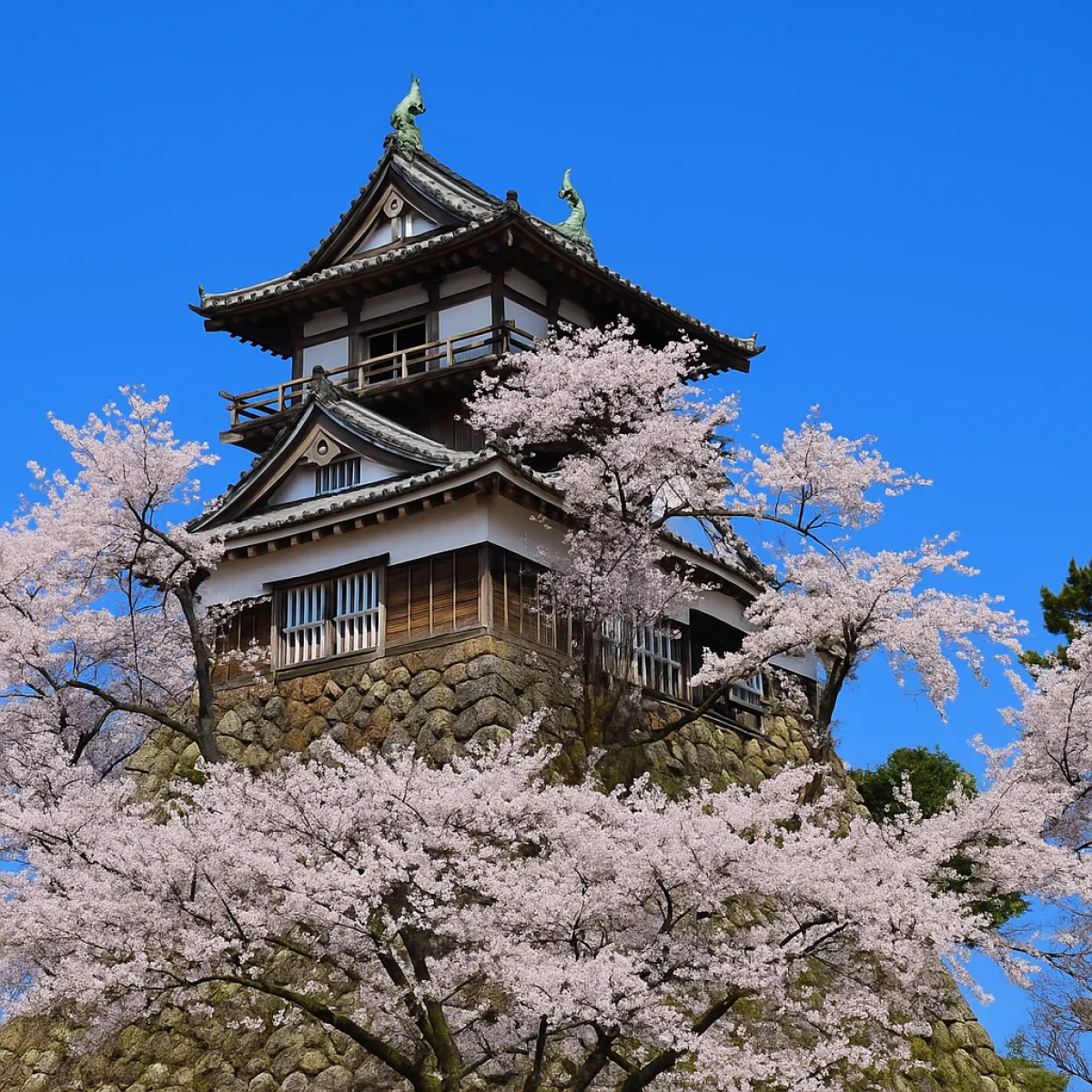 Maruoka Castle