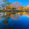 Maruyama Park