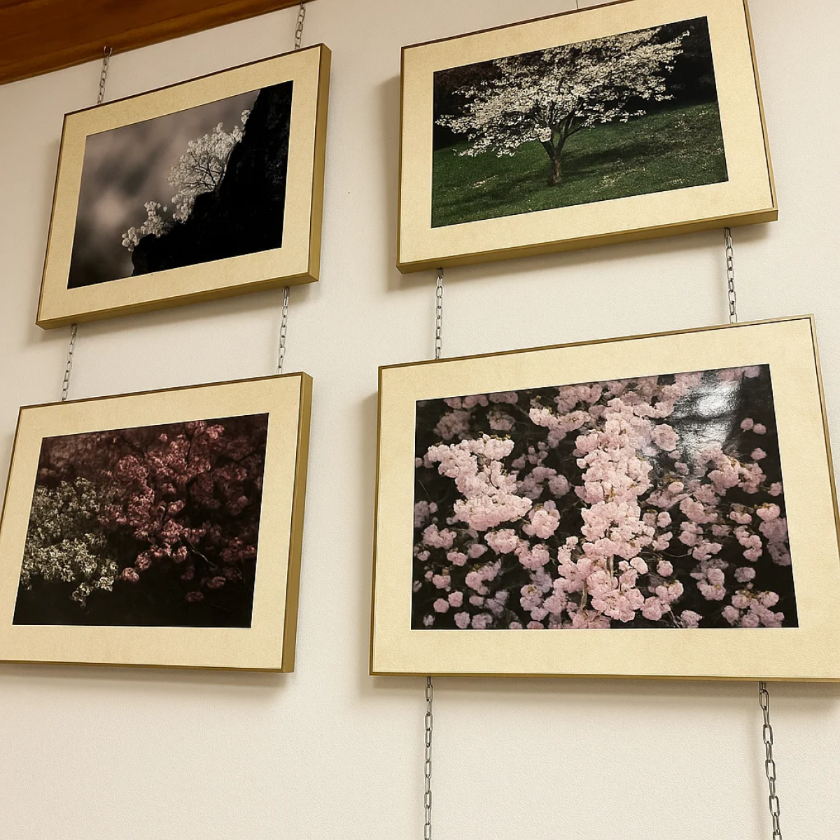 Matsumae Sakura Museum