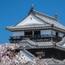 3. Matsuyama Castle