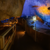 Menfudo Limestone Cave