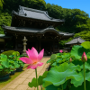Mimurotoji Temple