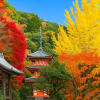 Mimurotoji Temple