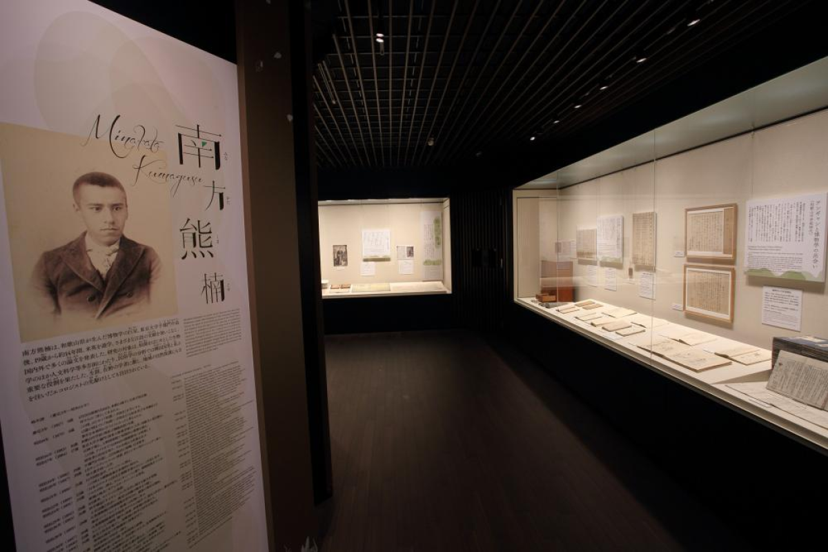 Minakata Kumagusu Museum