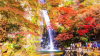 Minoh Falls