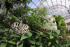 Minoh Park Insectarium