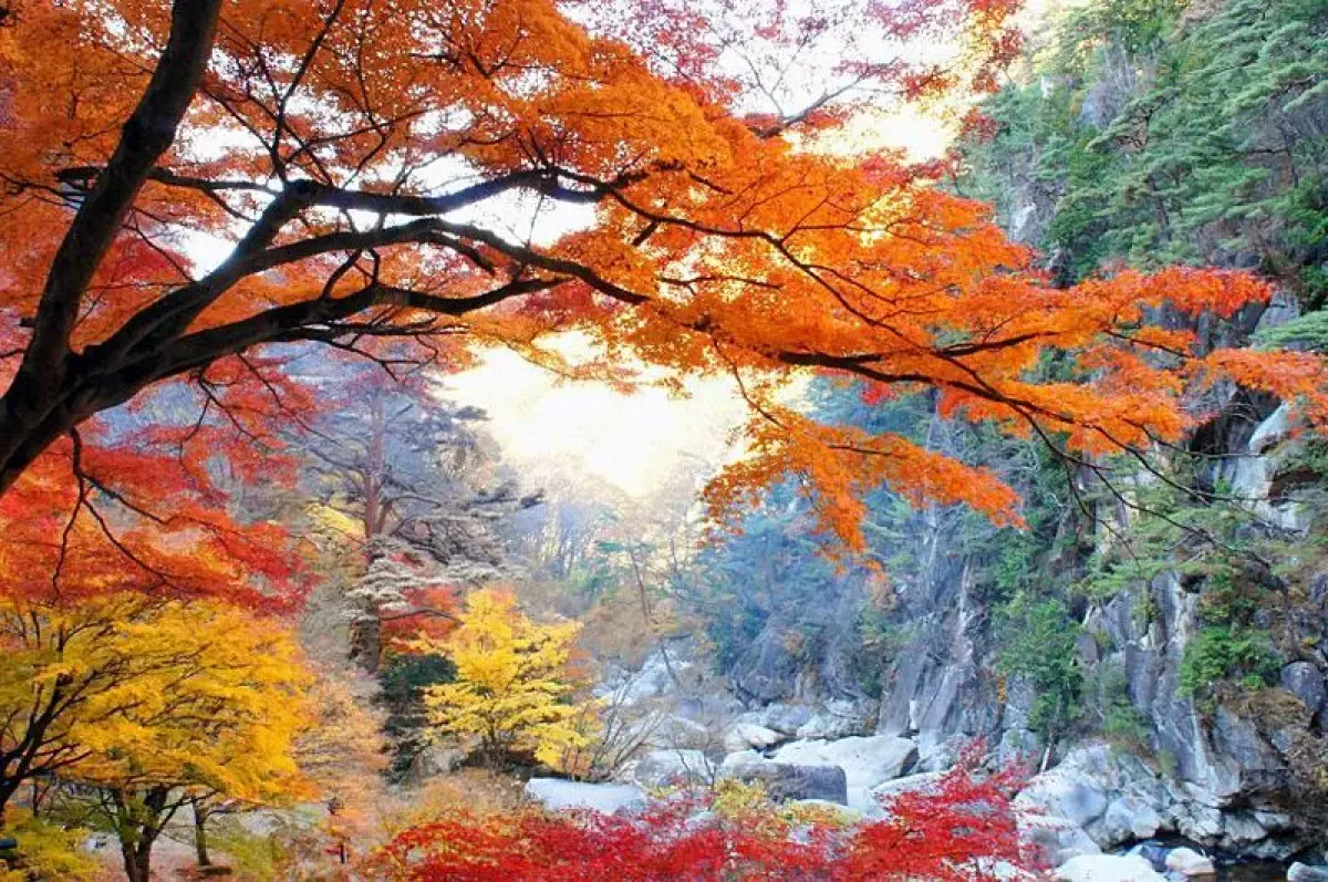 Mitake Shosenkyo Gorge