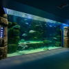 Miyajima Aquarium