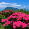 Mount Tsurumi