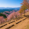 Mount Yoshinoyama