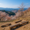 Mount Yoshinoyama