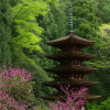 Muroji Temple