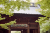 Myohonji Temple