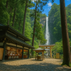 Nachi Taisha