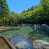 Nagashima Spa Yuami no Shima