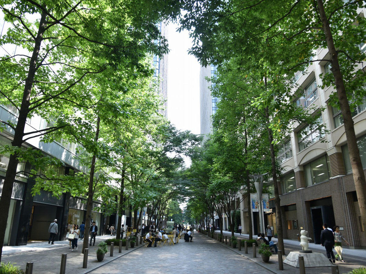 Nakadori Avenue