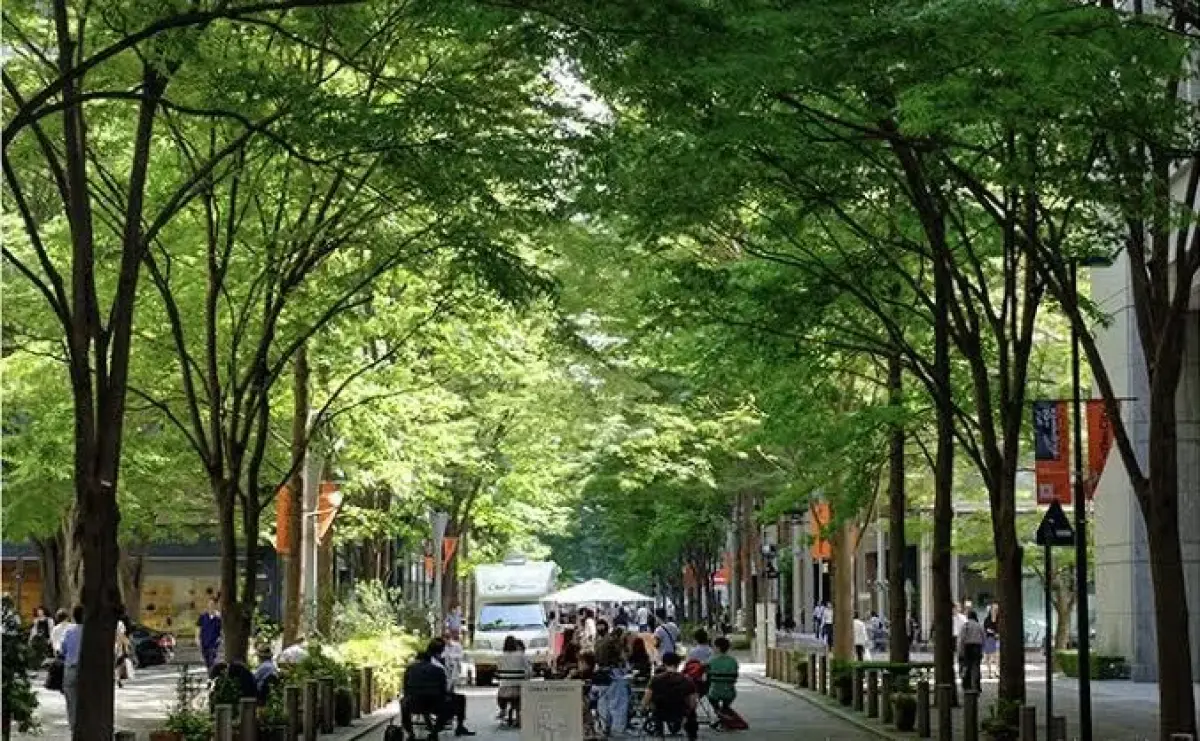 Nakadori Avenue