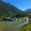 Nakayama Senmaida (Thousand Rice Terraces)
