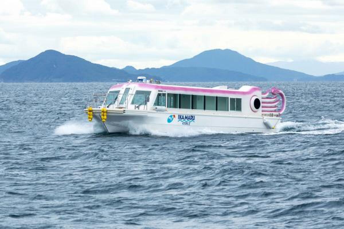 Nanatsugama Sightseeing Cruise