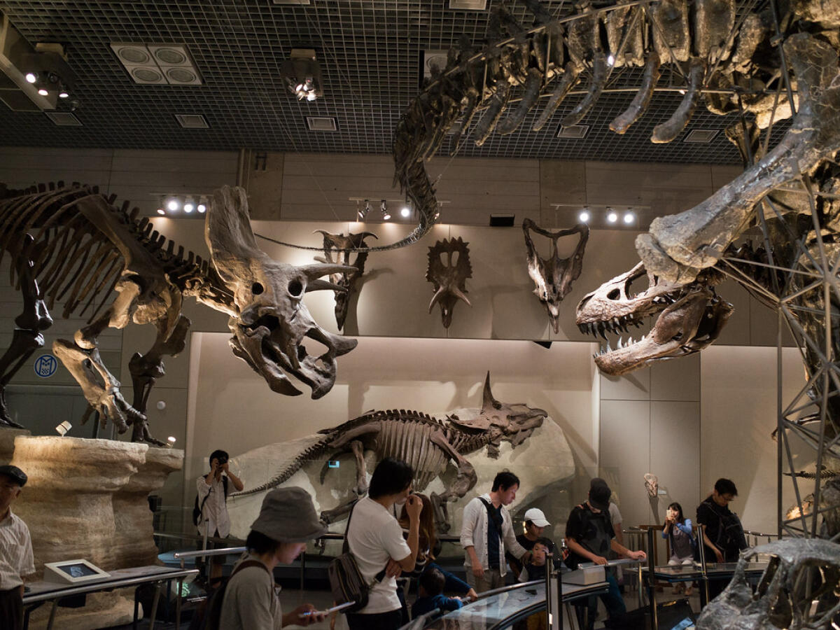 National Museum of Nature and Science