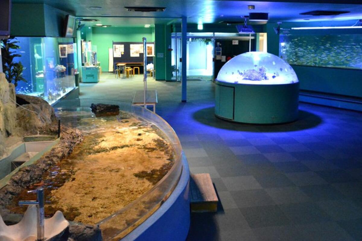 New Yashima Aquarium